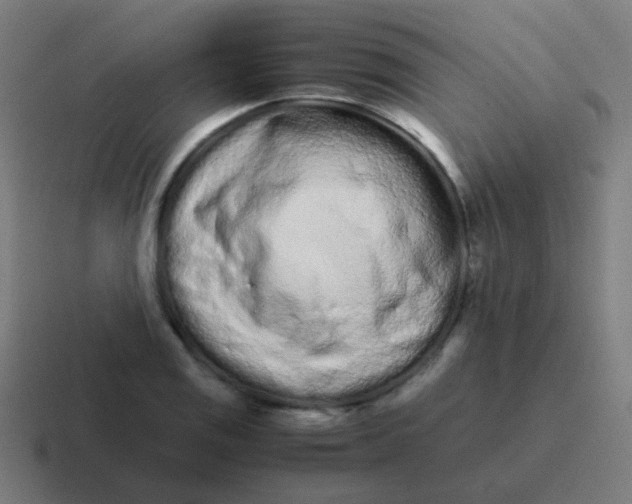 X0000116841125200912312049