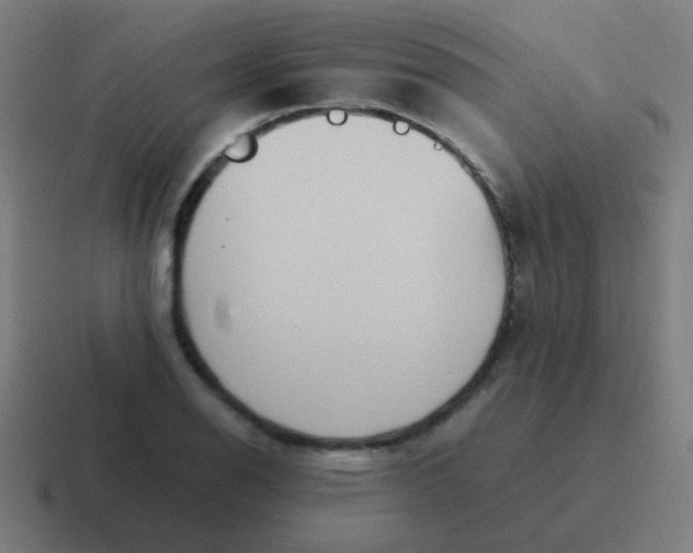 X0000116841126200912312049