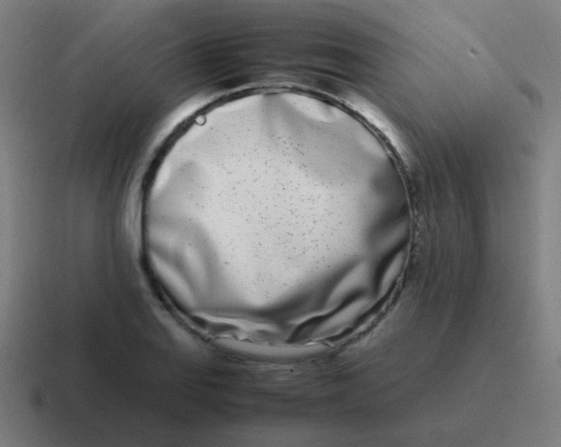 X0000116841127200912312049