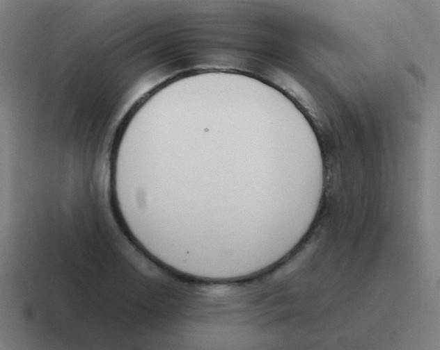 X0000116841130200912312049