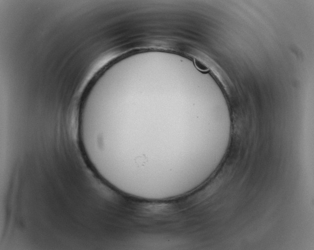 X0000116841131200912312049