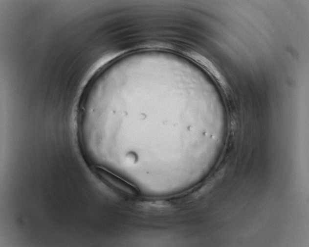 X0000116841133200912312049