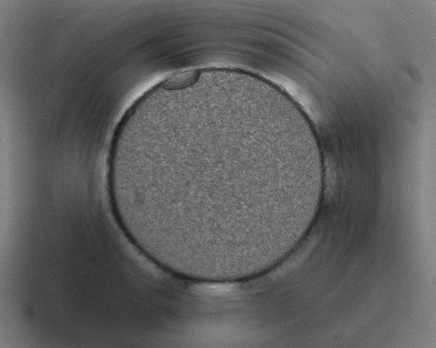 X0000116841134200912312049