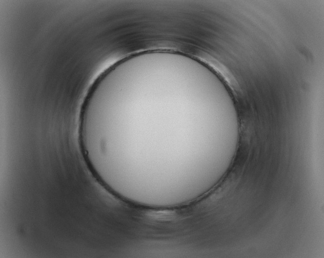 X0000116841135200912312049