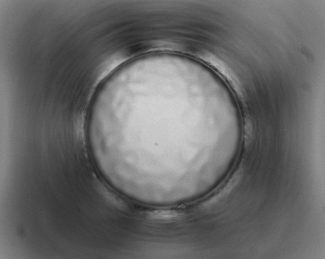 X0000116841137200912312049