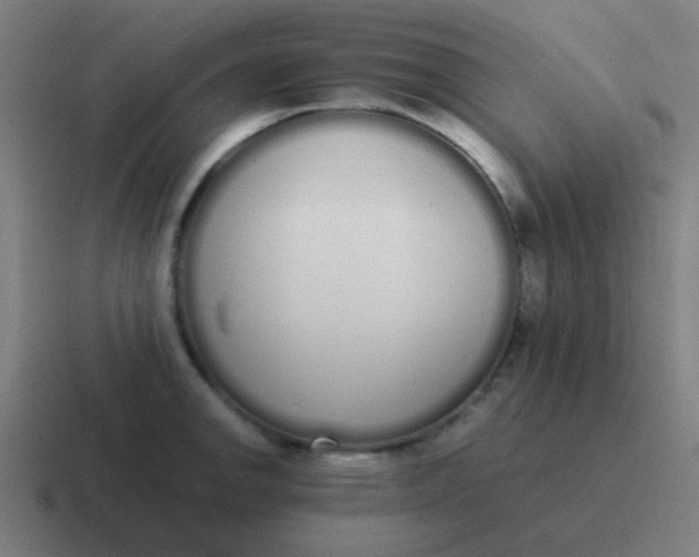 X0000116841142200912312049