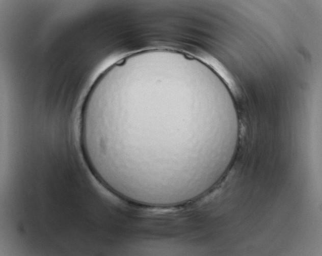 X0000116841143200912312049