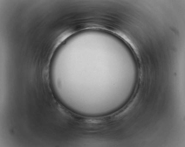 X0000116841145200912312049