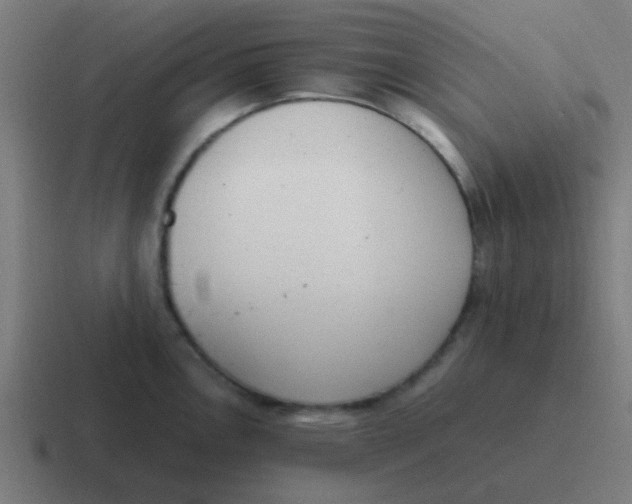 X0000116841146200912312049