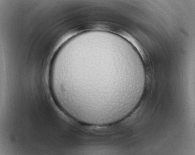 X0000116841147200912312049