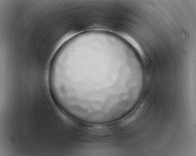 X0000116841149200912312049