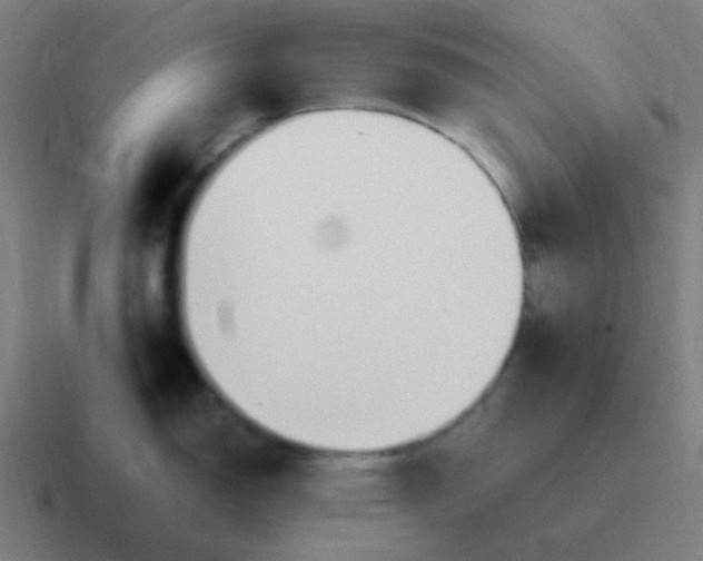 X0000116841150200912312049