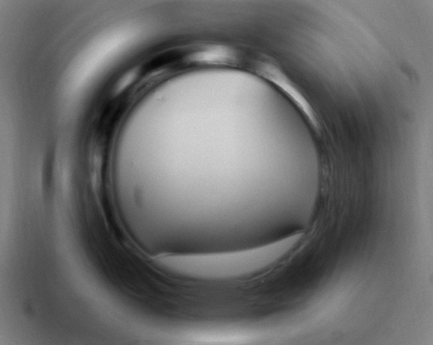 X0000116841151200912312049