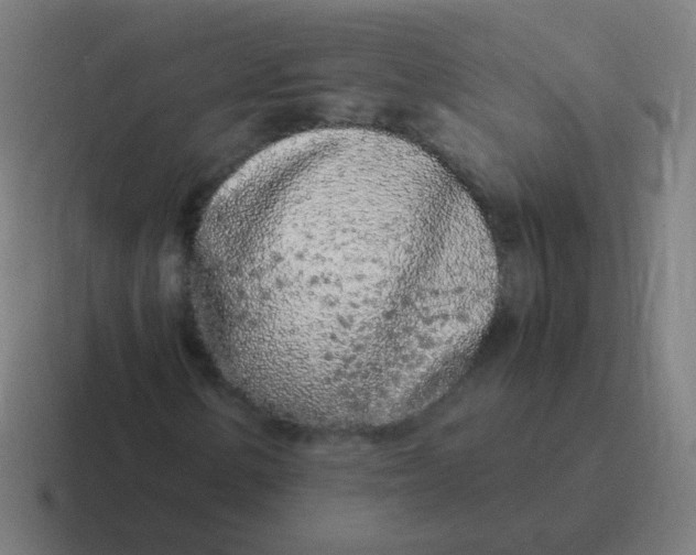 X0000116841154200912312049