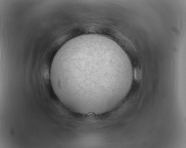 X0000116841155200912312049