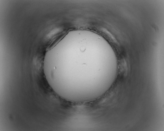 X0000116841157200912312049