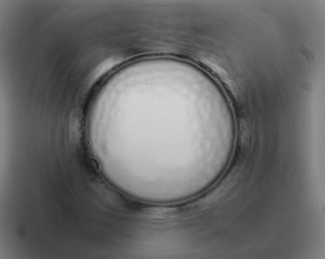 X0000116841163200912312049