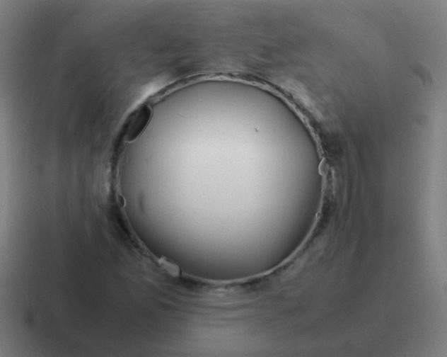 X0000116841165200912312049