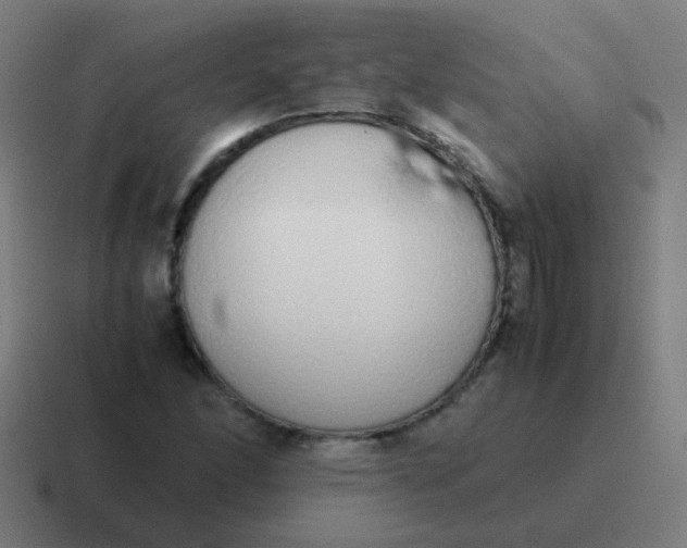 X0000116841166200912312049