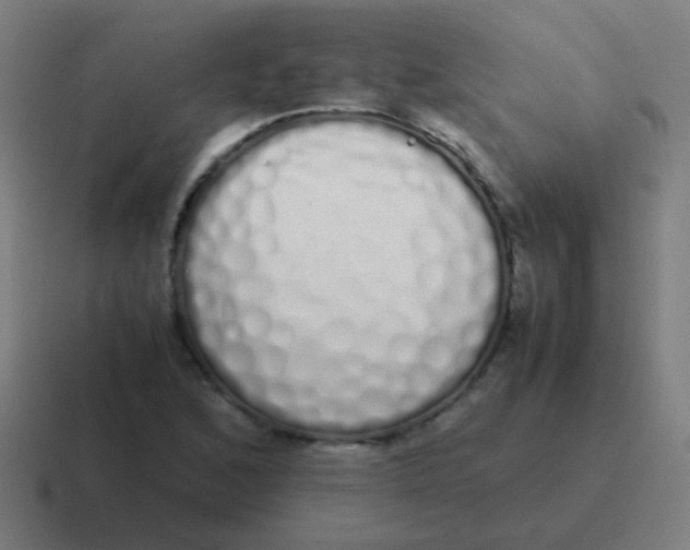 X0000116841168200912312049