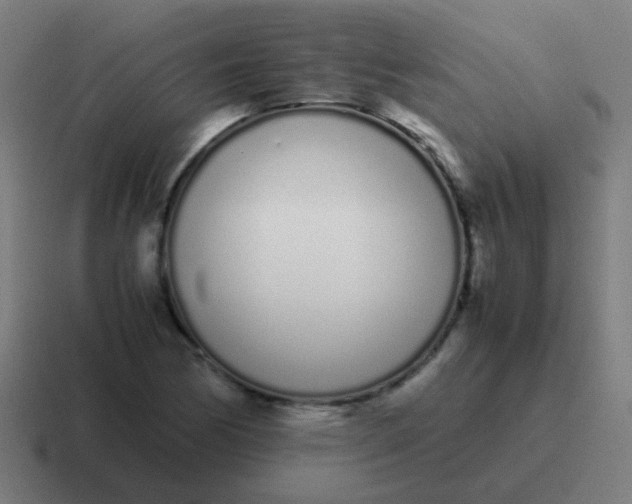 X0000116841170200912312049