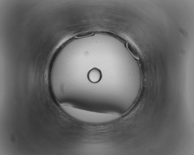 X0000116841173200912312049