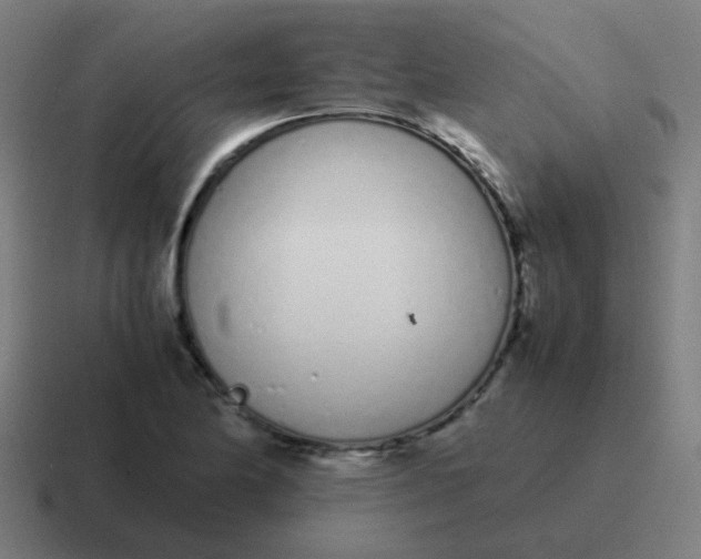 X0000116841174200912312049