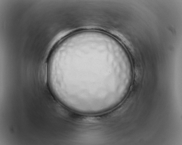 X0000116841175200912312049