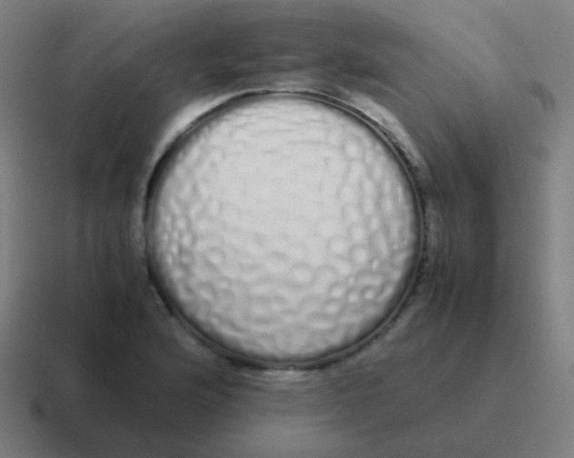 X0000116841176200912312049