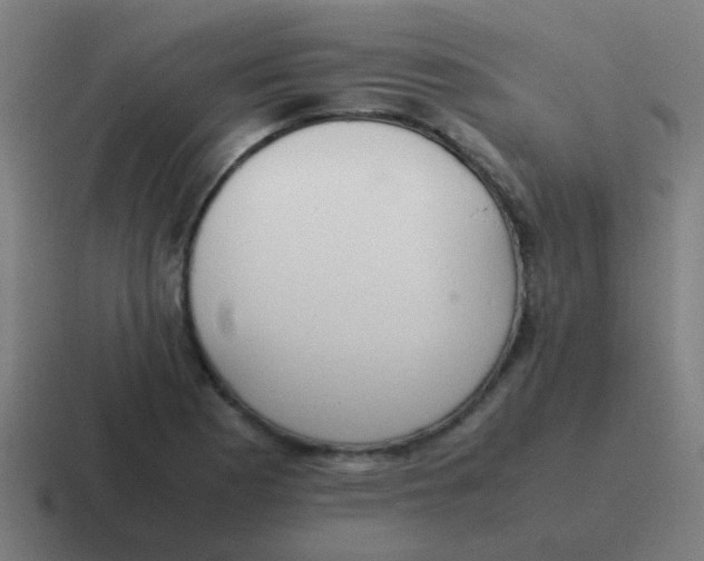 X0000116841177200912312049