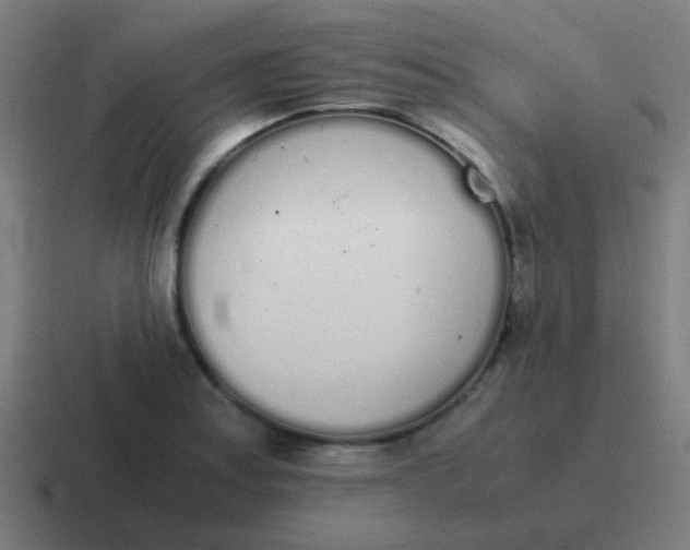 X0000116841179200912312049