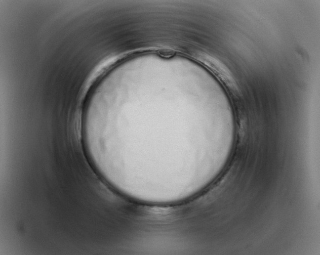 X0000116841180200912312049