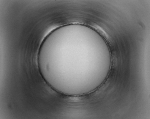 X0000116841182200912312049