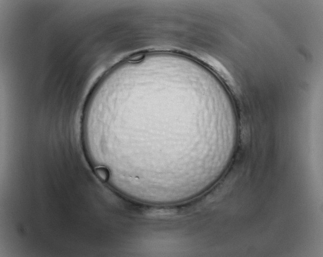 X0000116841183200912312049