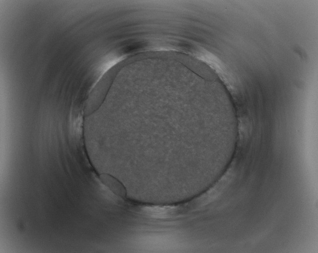 X0000116841185200912312048