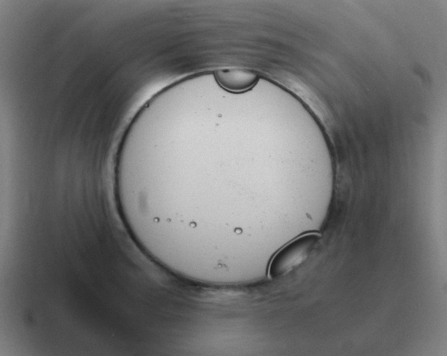 X0000116841187200912312048