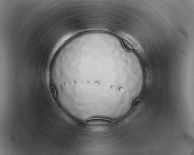 X0000116841188200912312048