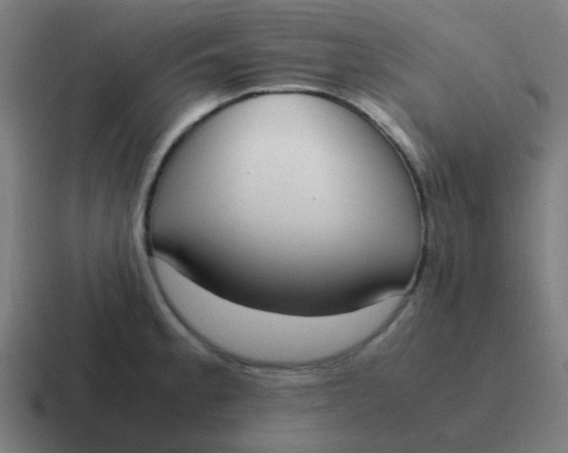 X0000116841189200912312048