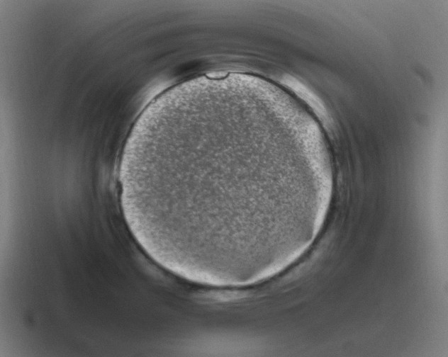 X0000116841193200912312048