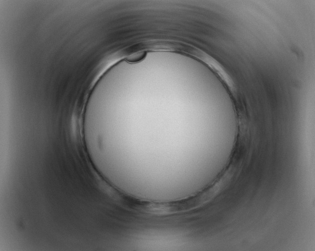 X0000116841194200912312048