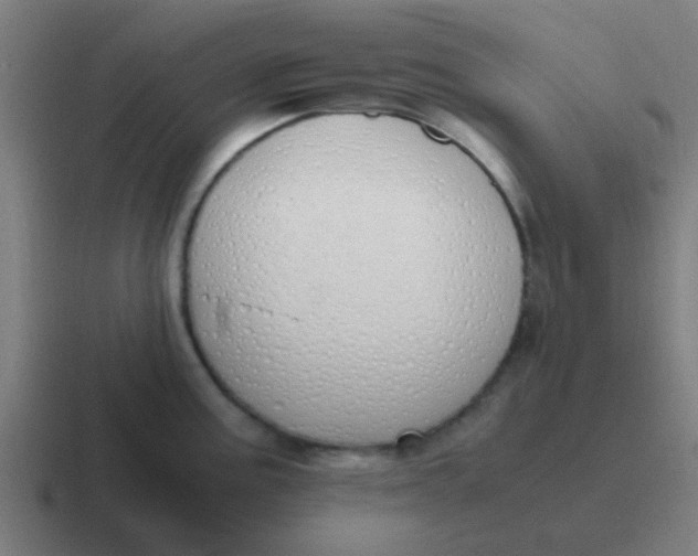 X0000116841195200912312048