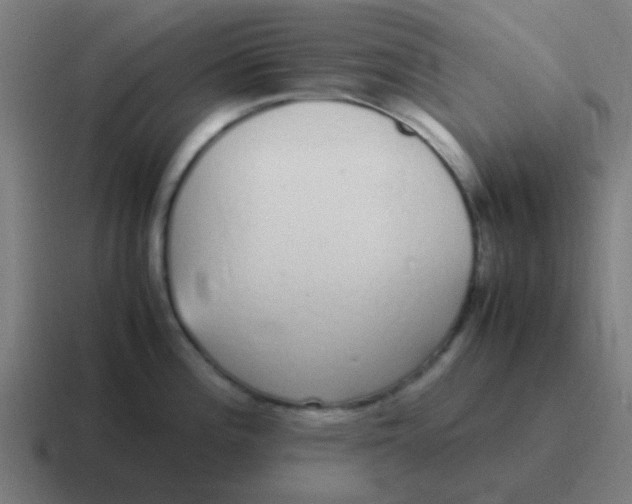 X0000116841196200912312048