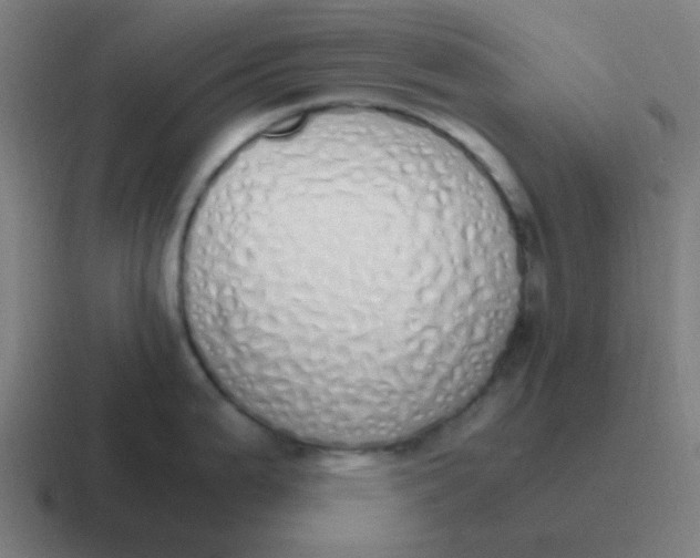 X0000116841199200912312048