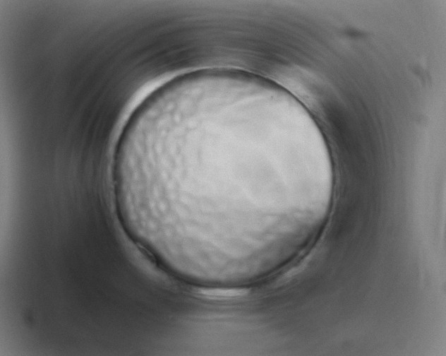 X0000116841200200912312048