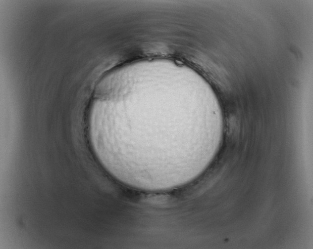 X0000116841201200912312048