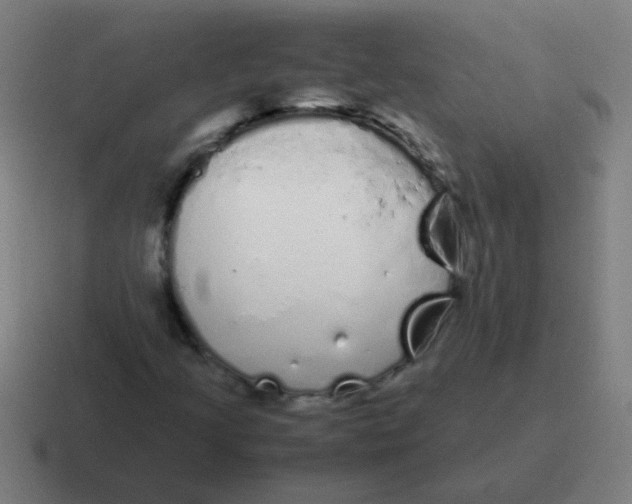 X0000116841205200912312048