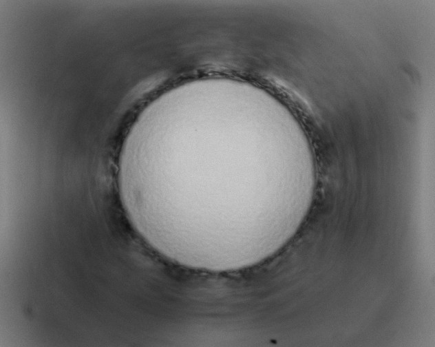 X0000116841207200912312048