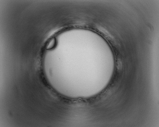 X0000116841208200912312048