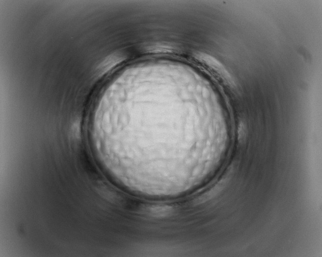 X0000116841209200912312048