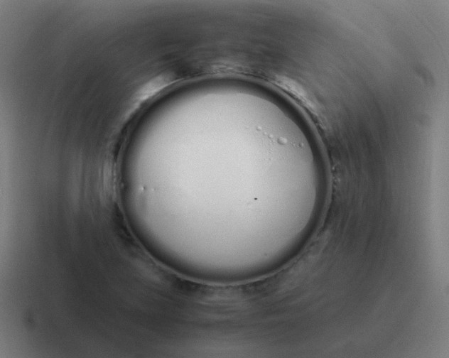 X0000116841219200912312048